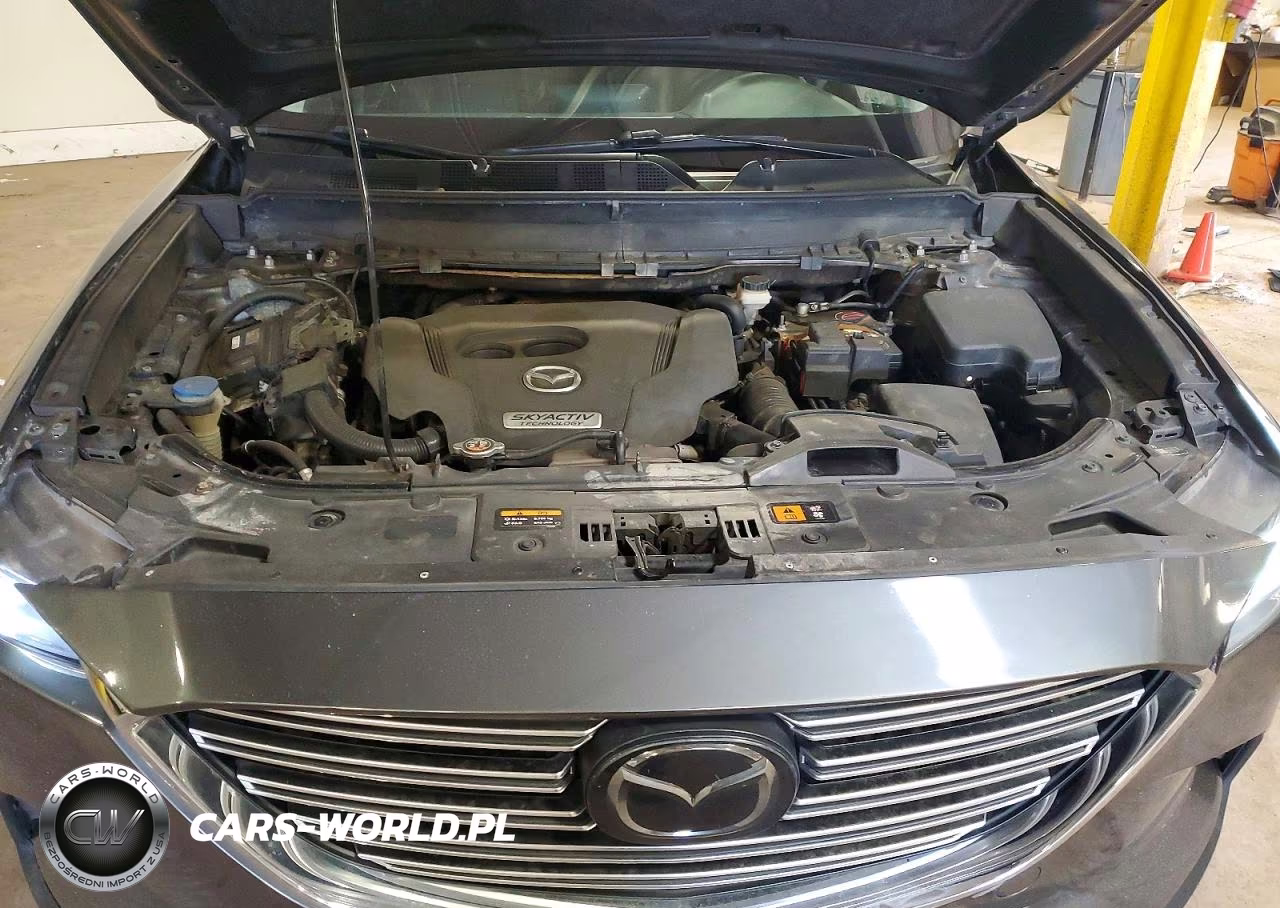 2018 Mazda Cx-9 Touring VIN:JM3TCBCY5J0231289 - 12