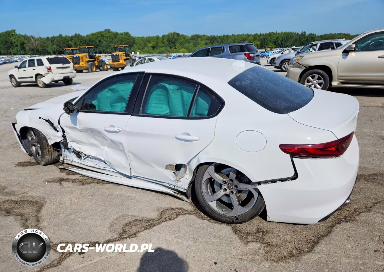 2018 Alfa Romeo Giulia VIN:ZARFAEBN6J7565462 - 2