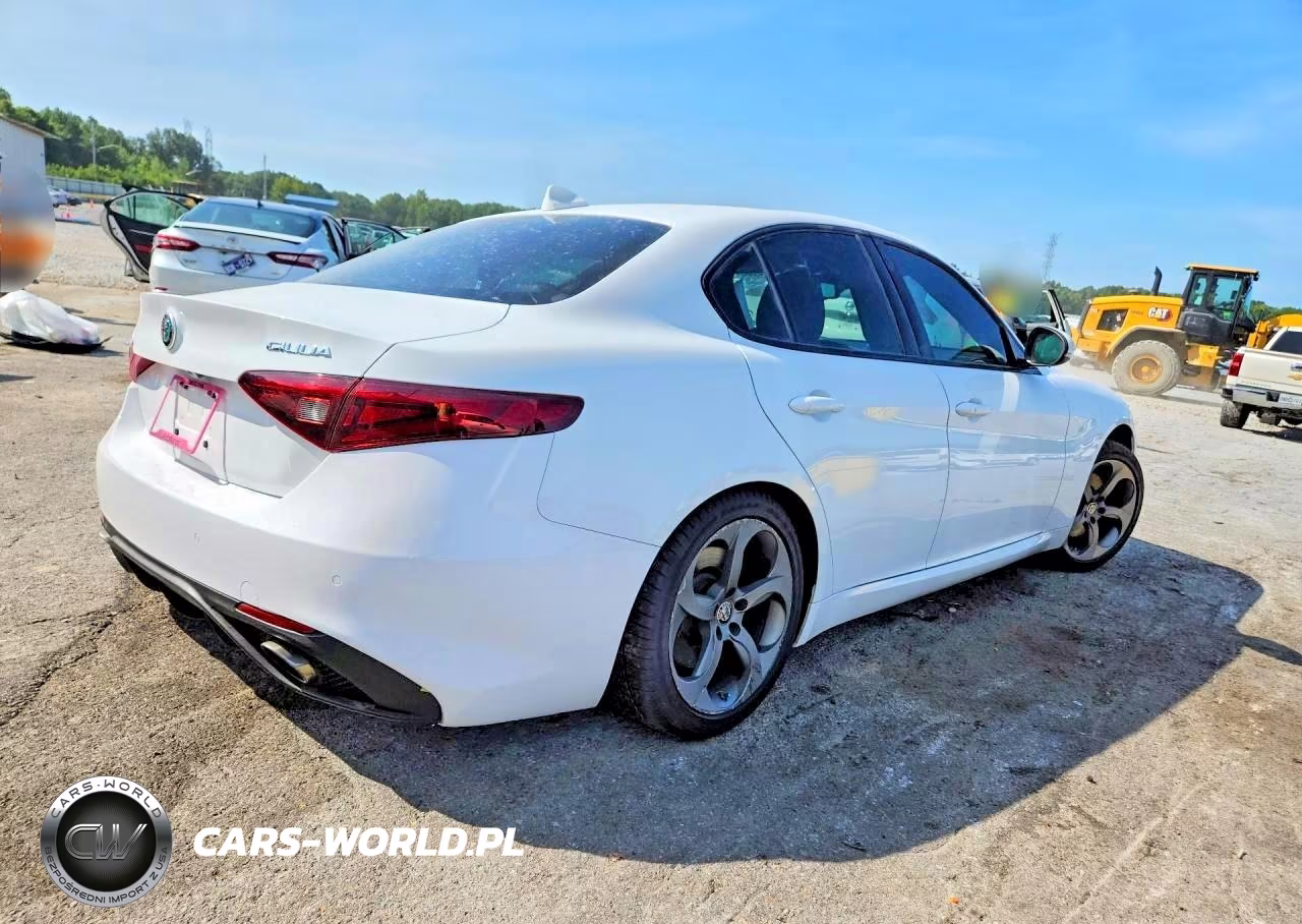 2018 Alfa Romeo Giulia VIN:ZARFAEBN6J7565462 - 3