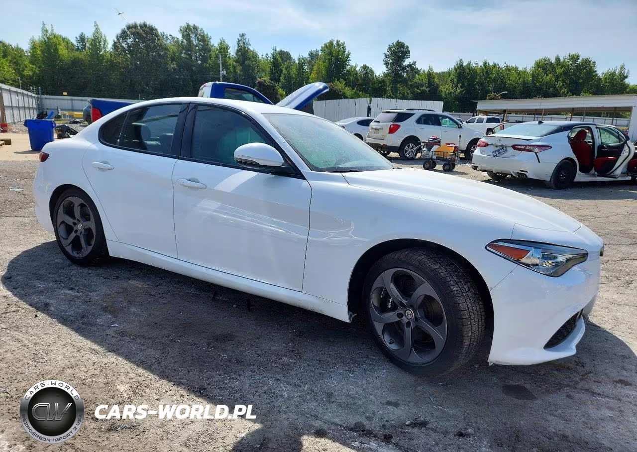 2018 Alfa Romeo Giulia VIN:ZARFAEBN6J7565462 - 4