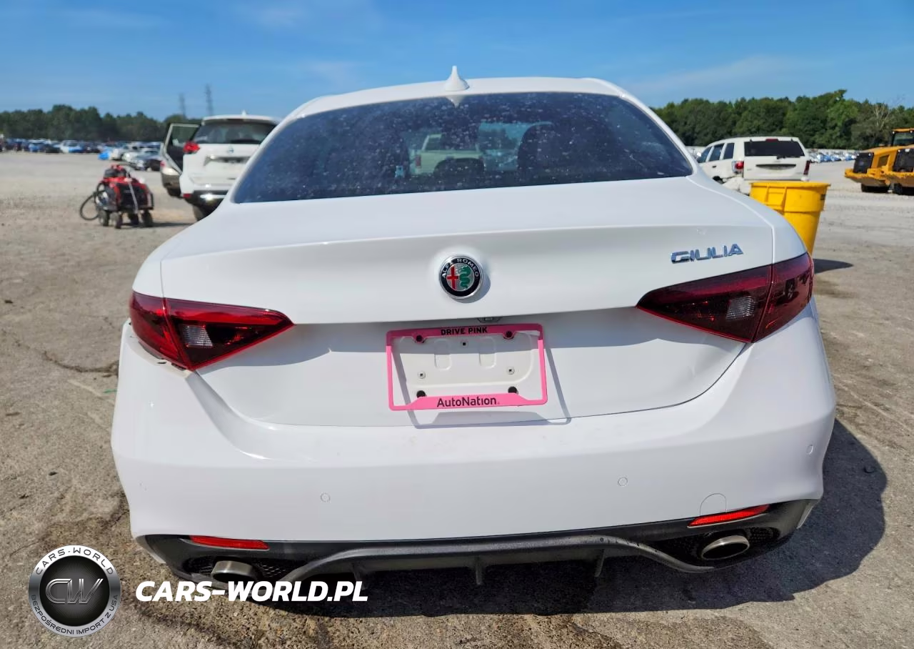 2018 Alfa Romeo Giulia VIN:ZARFAEBN6J7565462 - 6