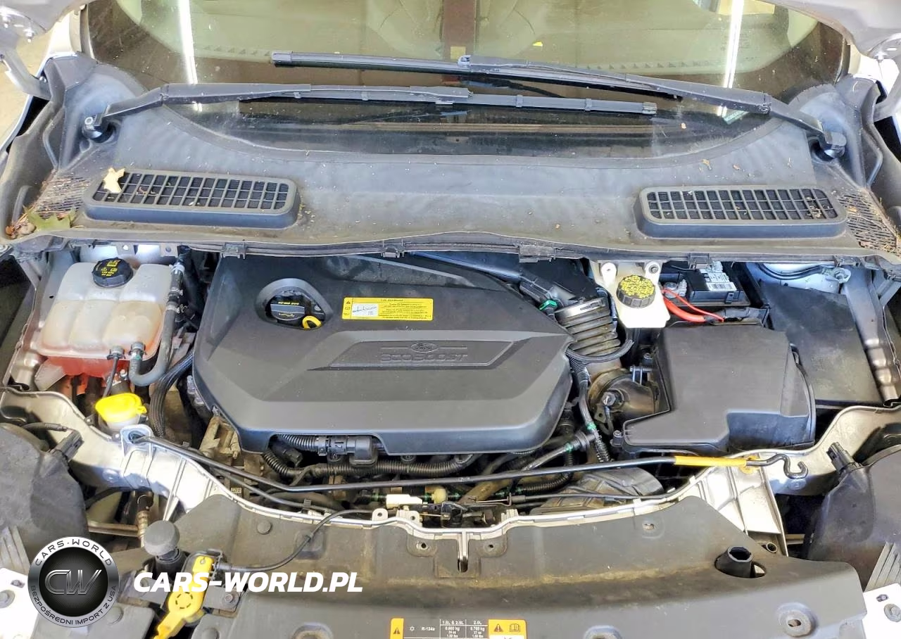 2014 Ford Escape Se VIN:1FMCU0GX4EUD02536 - 12