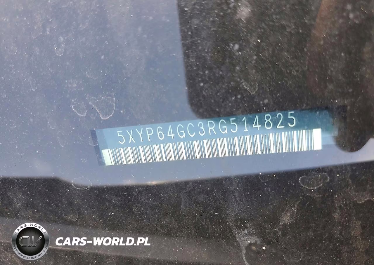 2024 Kia Telluride S VIN:5XYP64GC3RG514825 - 13