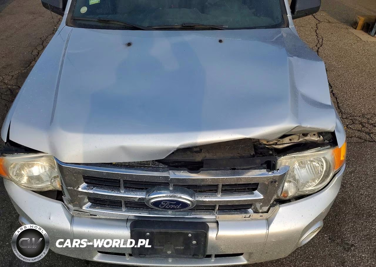 2012 Ford Escape Xlt VIN:1FMCU9DG5CKC22065 - 11