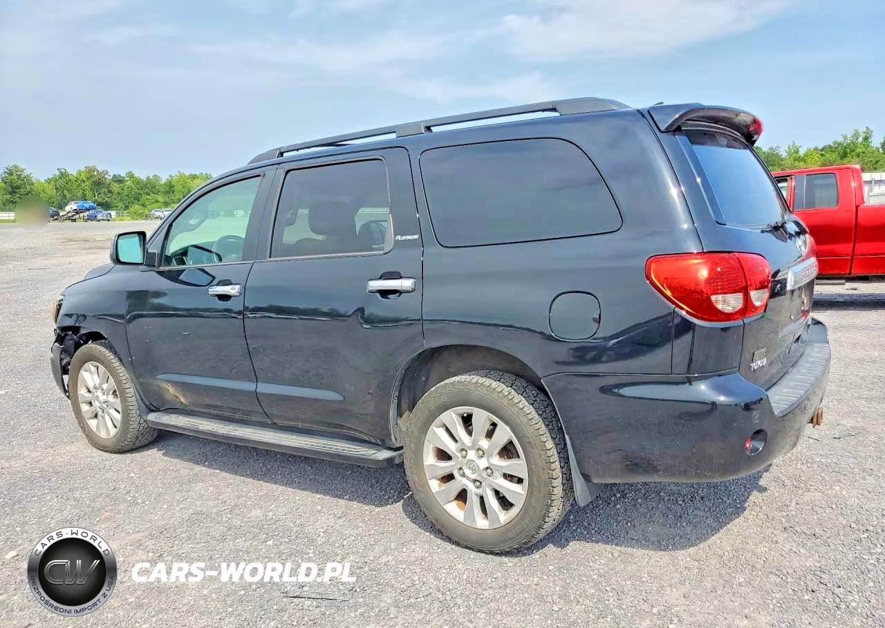 2010 Toyota Sequoia Platinum VIN:5TDDY5G16AS039034 - 2