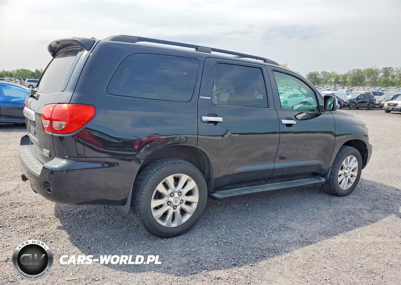 2010 Toyota Sequoia Platinum VIN:5TDDY5G16AS039034 - 3