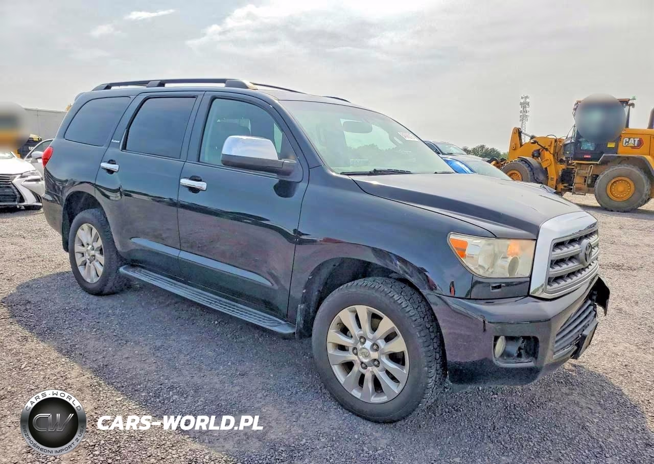 2010 Toyota Sequoia Platinum VIN:5TDDY5G16AS039034 - 4