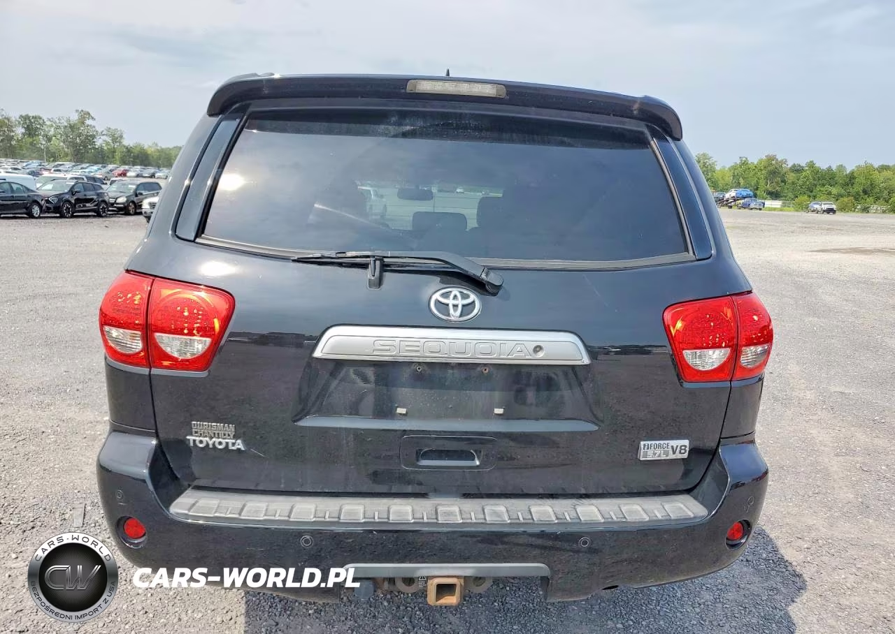 2010 Toyota Sequoia Platinum VIN:5TDDY5G16AS039034 - 6