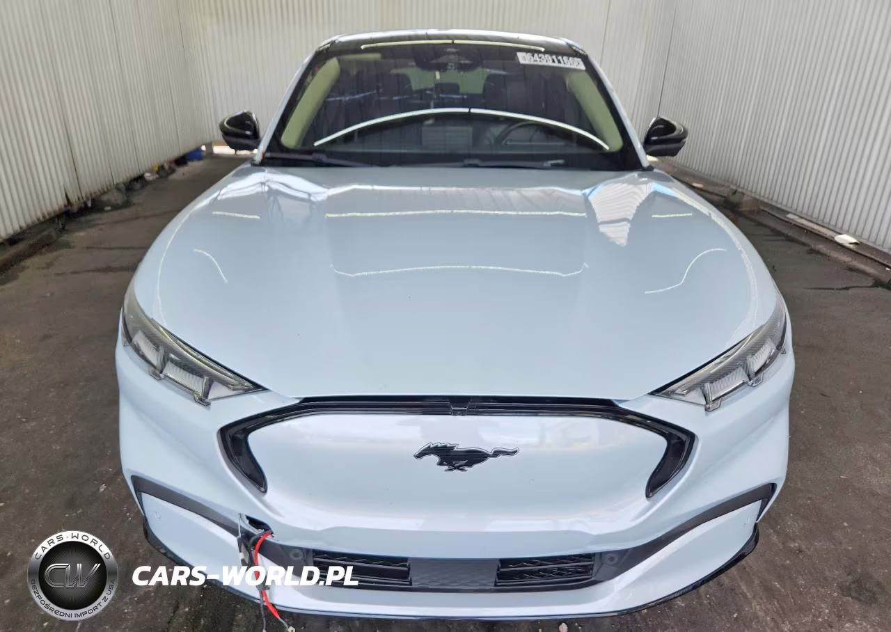 2023 Ford Mustang Mach-E Premium VIN:3FMTK3SU2PMA98248 - 5