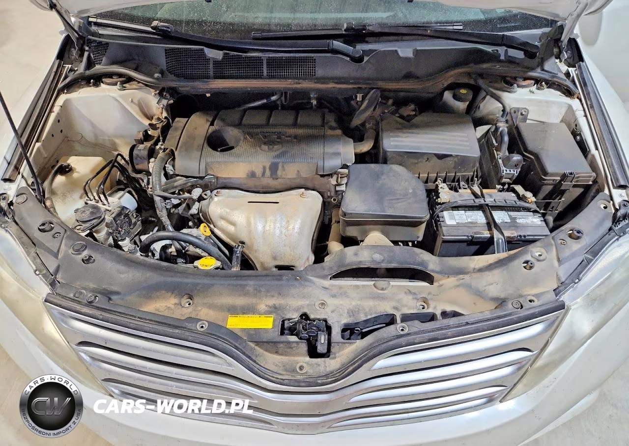 2010 Toyota Venza Awd 4Cyl VIN:4T3BA3BB4AU010579 - 12