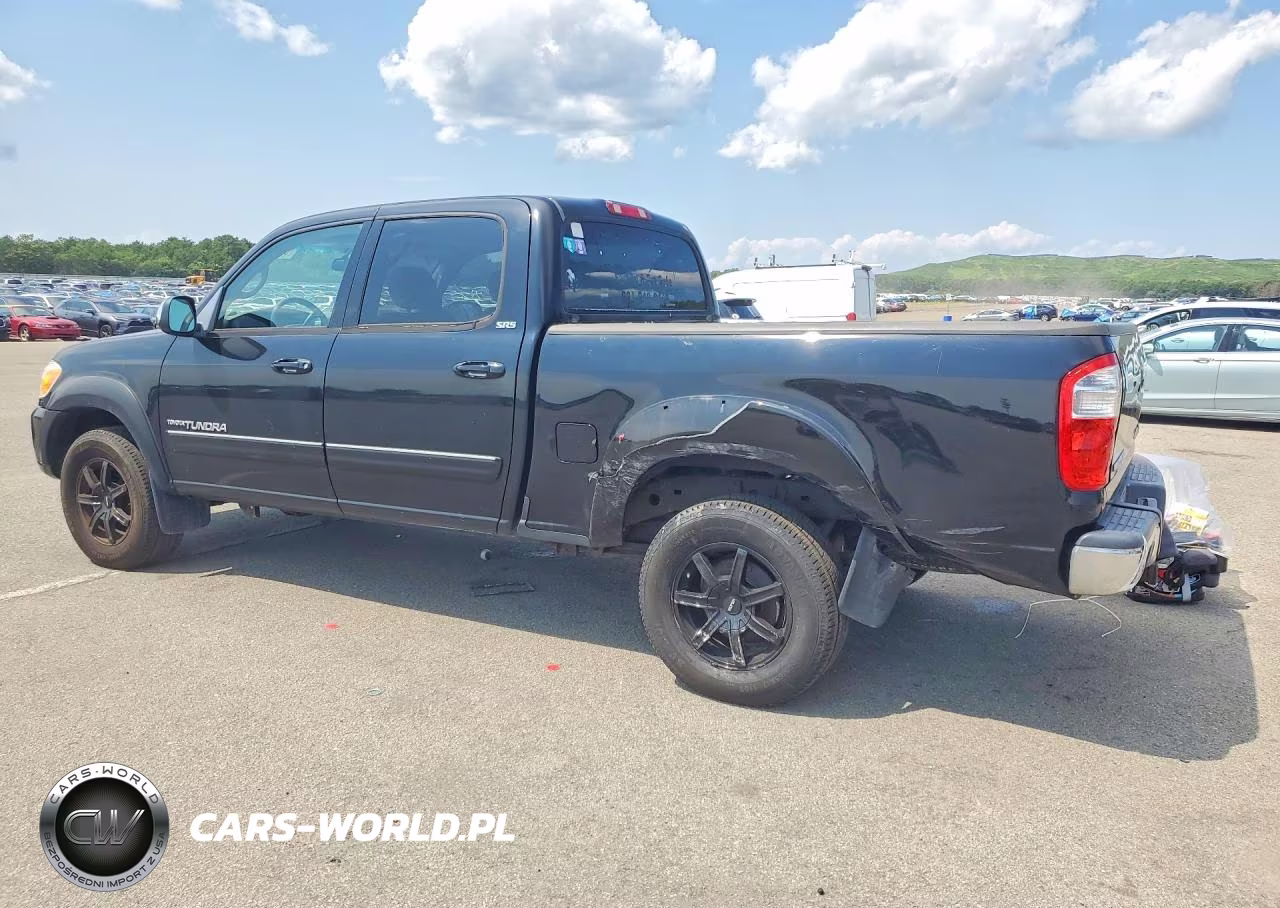 2005 Toyota Tundra Double Cab Sr5 VIN:5TBDT44195S495024 - 2