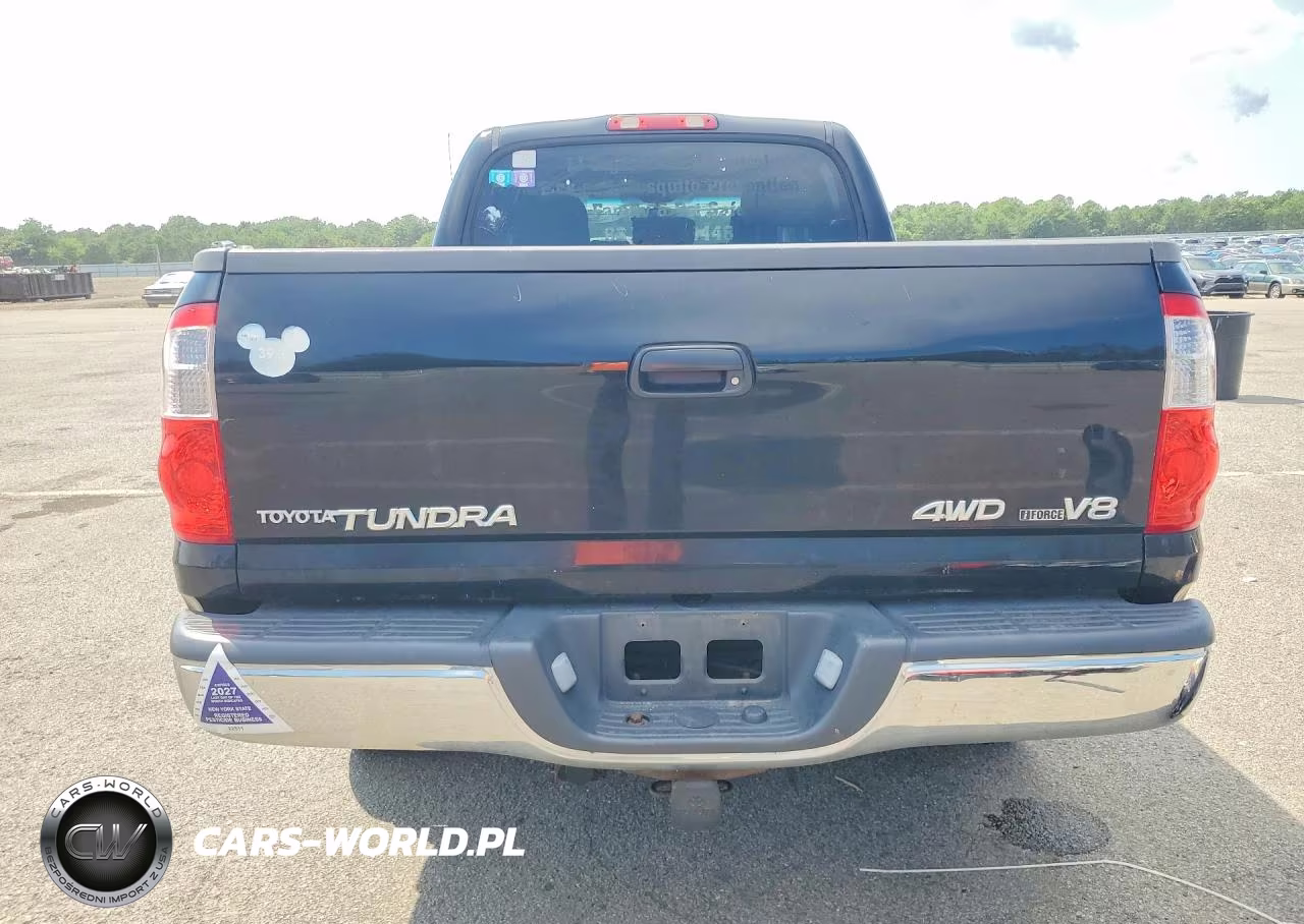 2005 Toyota Tundra Double Cab Sr5 VIN:5TBDT44195S495024 - 6