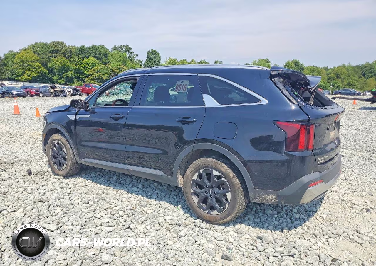 2024 Kia Sorento S VIN:5XYRLDJCXRG264400 - 2