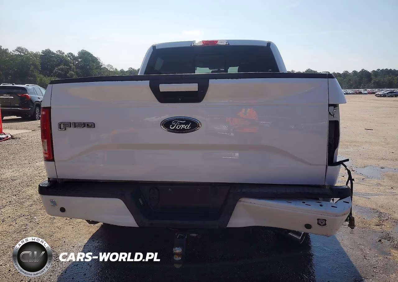 2017 Ford F150 Supercrew VIN:1FTEW1CG8HKE32578 - 6