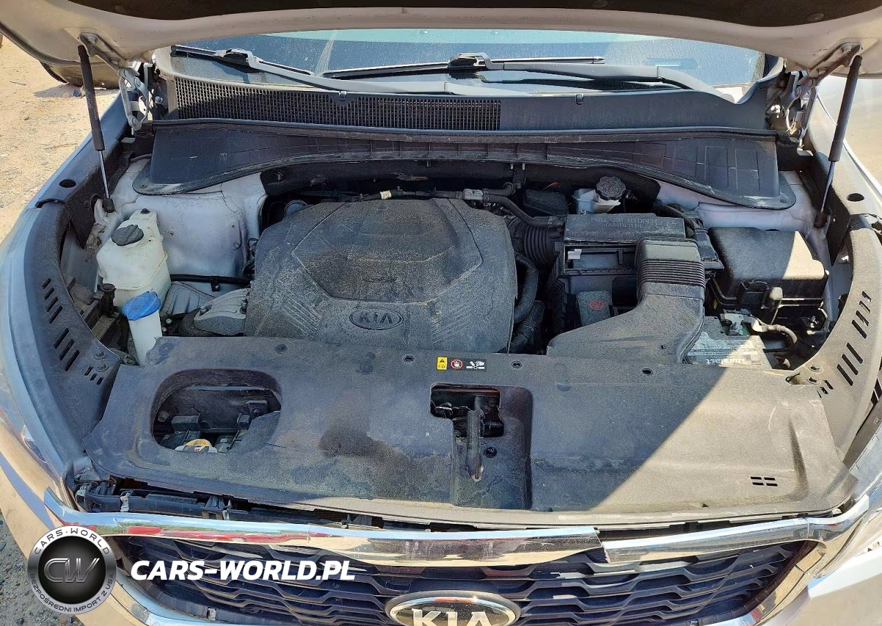 2019 Kia Sorento VIN:5XYPG4A51KG570582 - 12