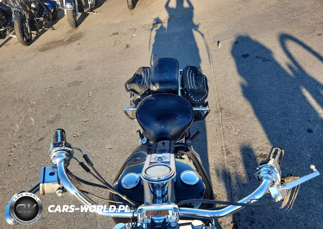 1991 Harley-Davidson Flstc VIN:1HD1BJL48MY018089 - 5