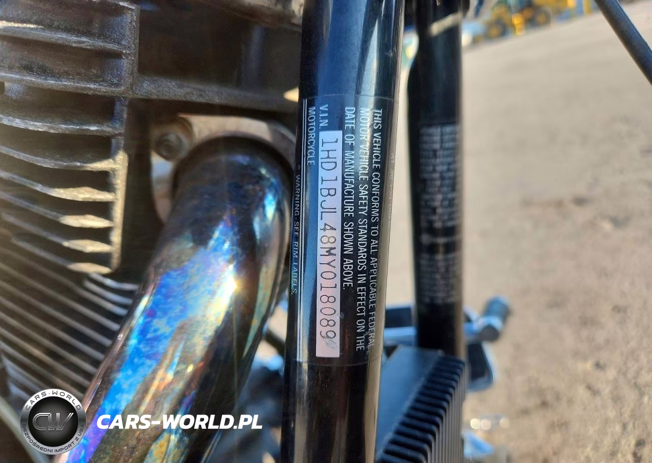 1991 Harley-Davidson Flstc VIN:1HD1BJL48MY018089 - 8