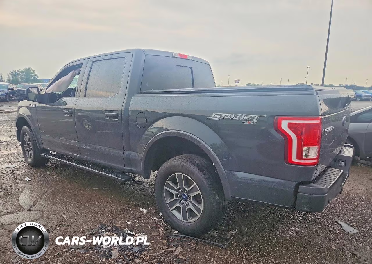 2016 Ford F150 Supercrew VIN:1FTEW1EPXGFD60268 - 2