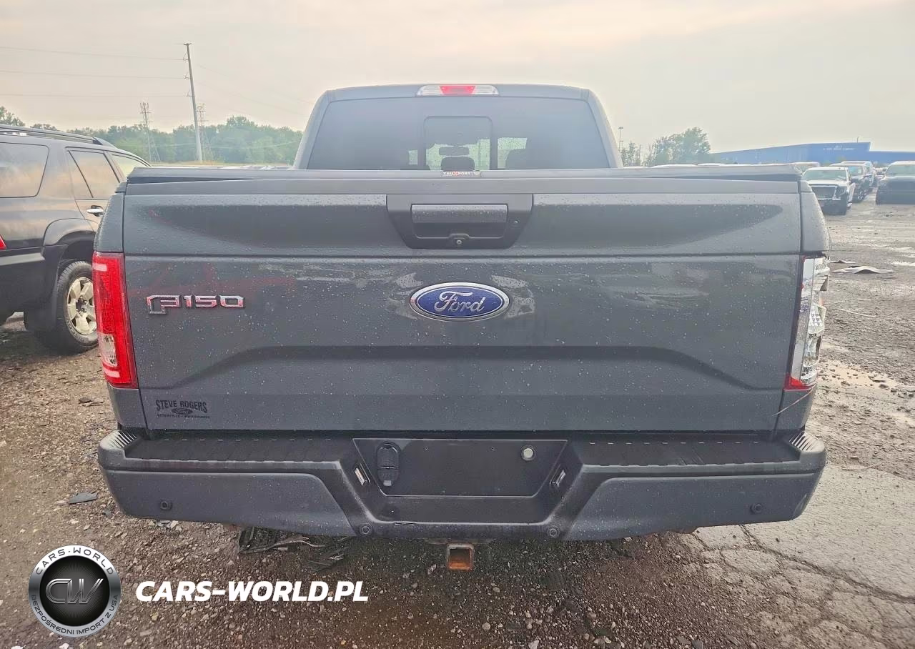 2016 Ford F150 Supercrew VIN:1FTEW1EPXGFD60268 - 6