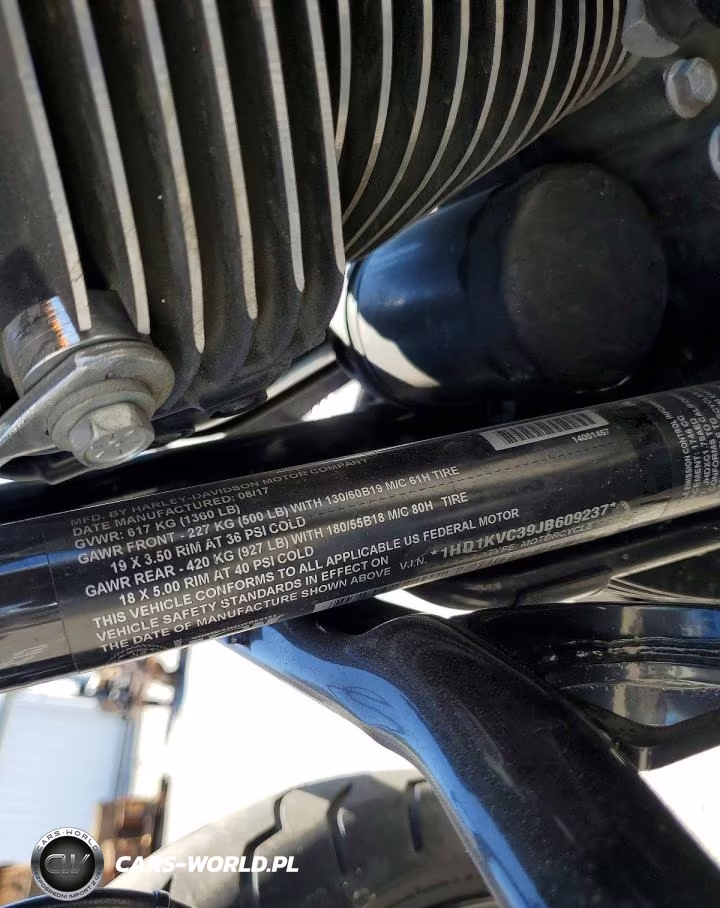 2018 Harley-Davidson Flhrxs VIN:1HD1KVC39JB609237 - 9