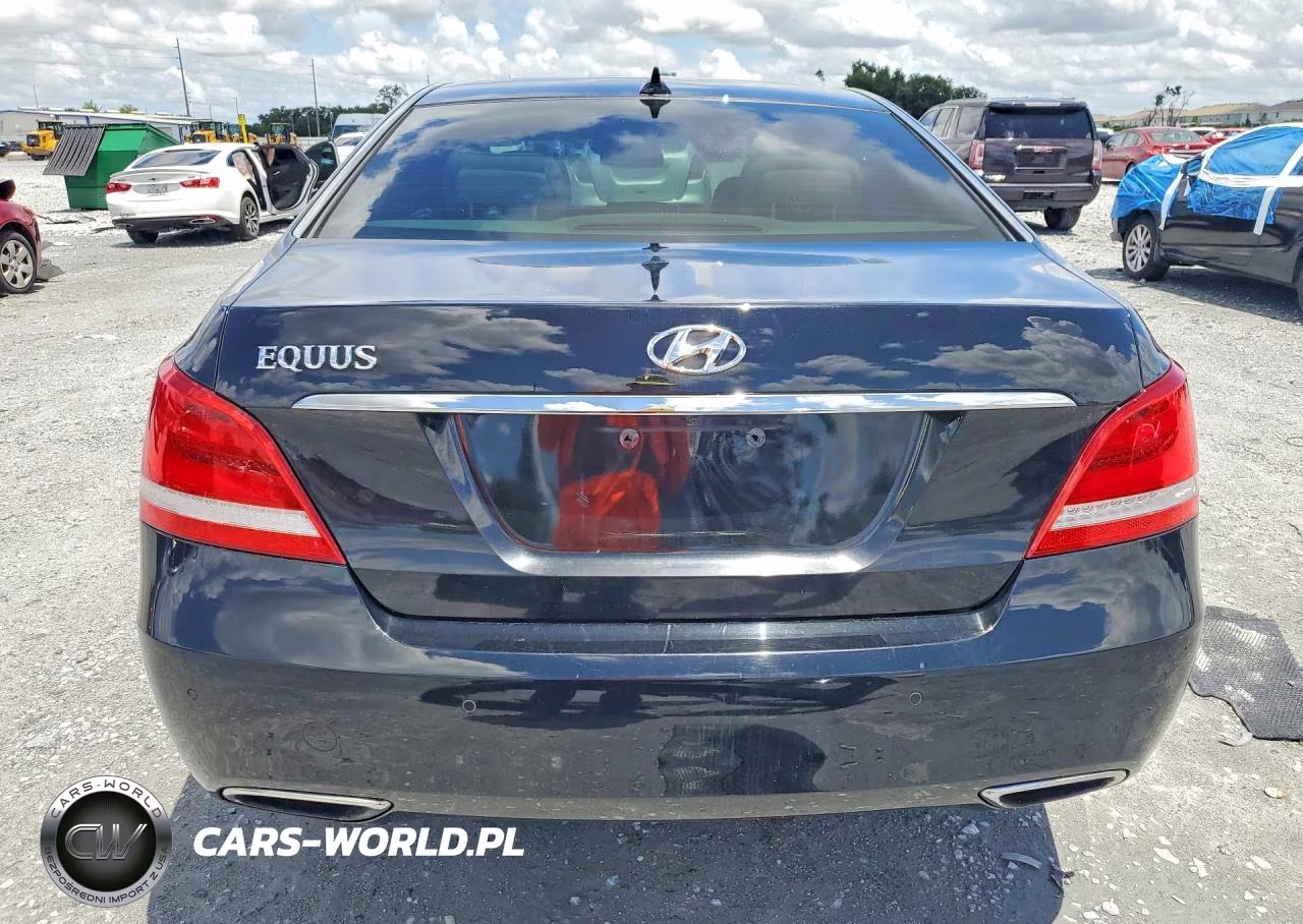 2014 Hyundai Equus Signature VIN:KMHGH4JH1EU075353 - 6