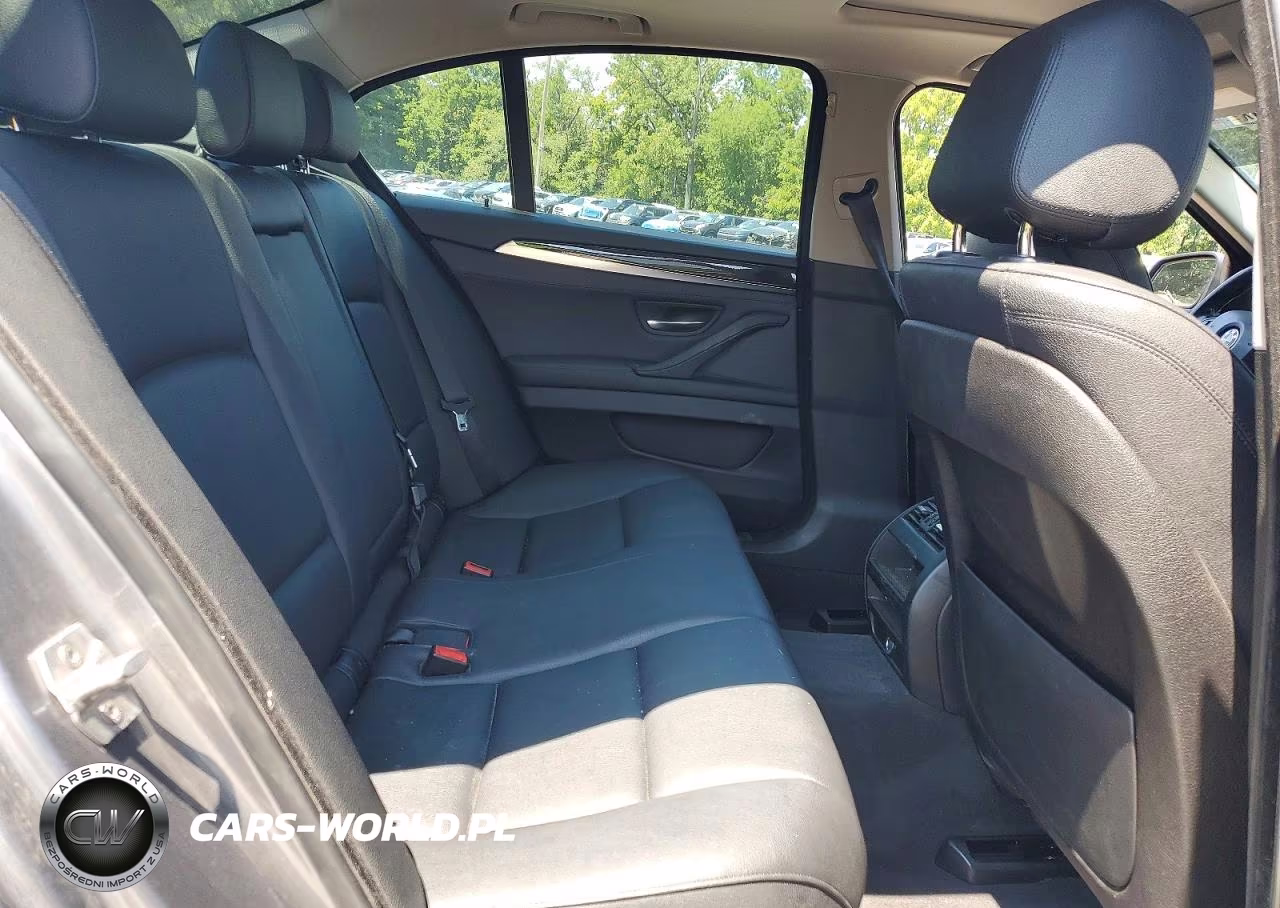 2015 BMW 528 Xi VIN:WBA5A7C50FD625256 - 10