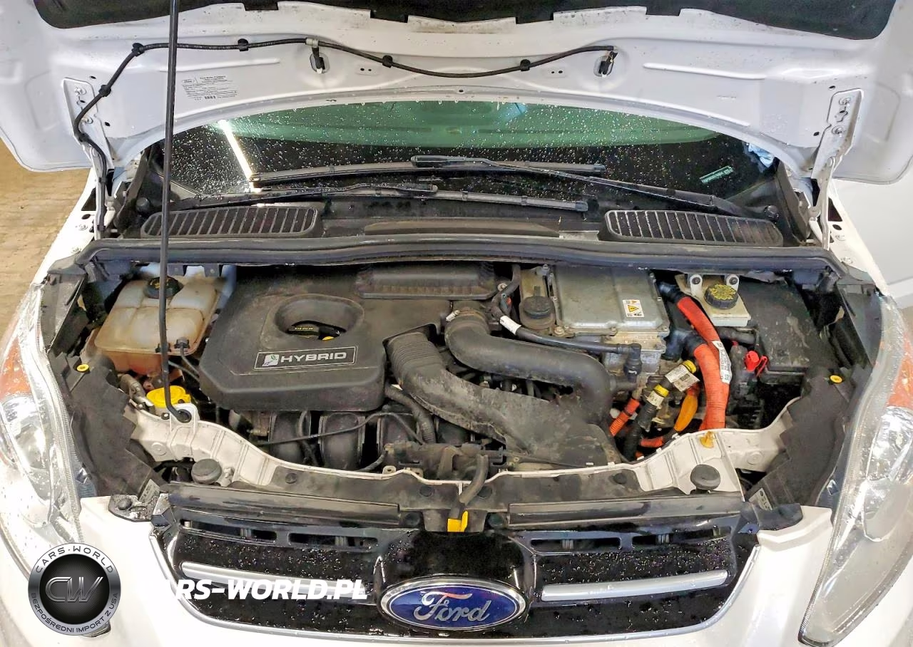 2013 Ford C-Max Sel VIN:1FADP5BU3DL550684 - 11