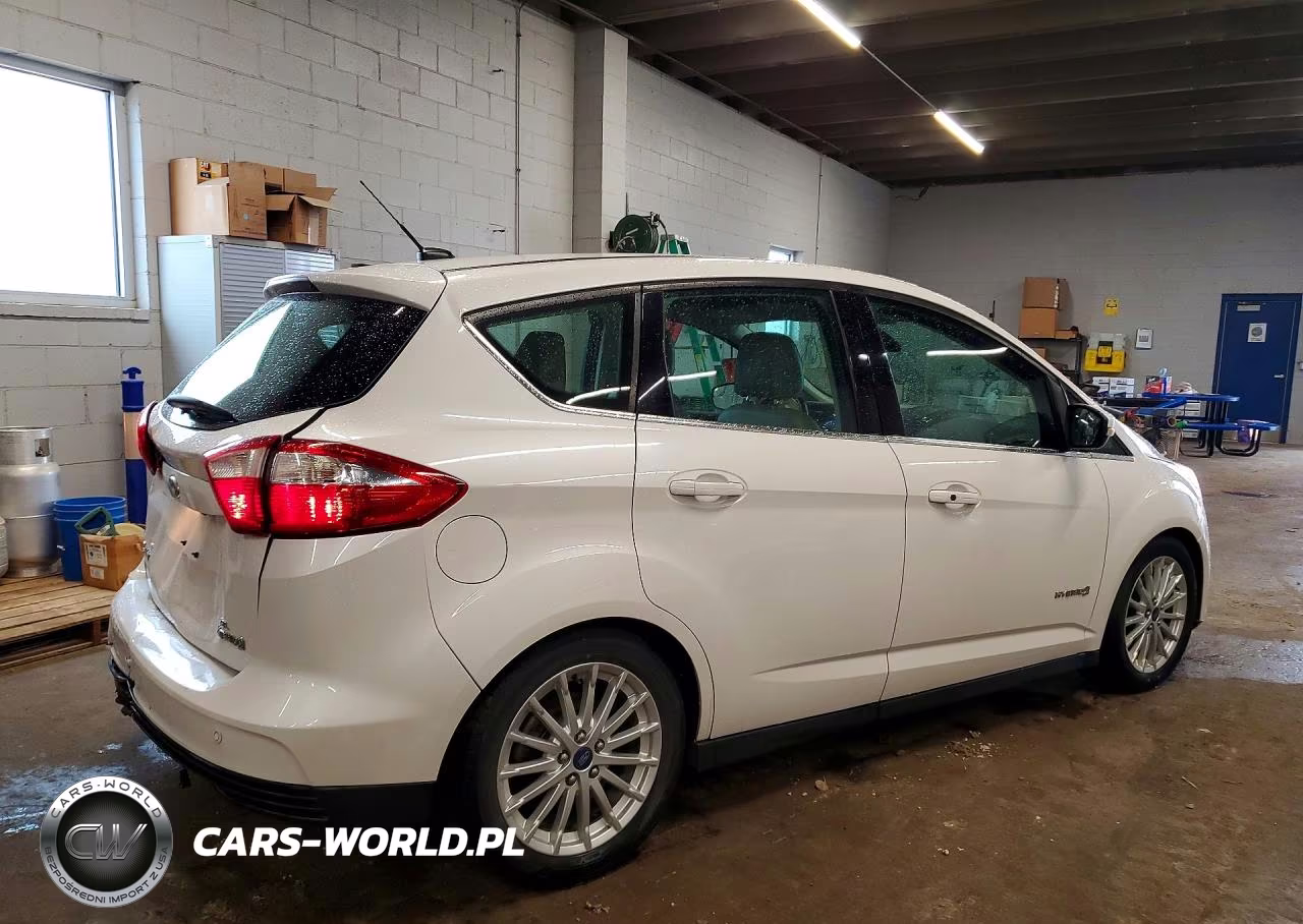 2013 Ford C-Max Sel VIN:1FADP5BU3DL550684 - 3