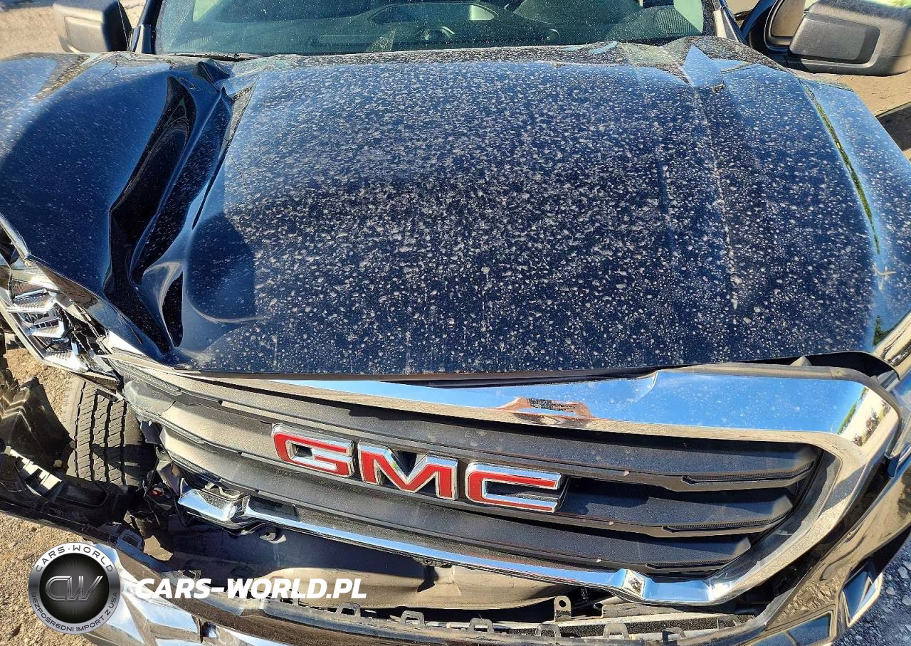 2020 GMC Sierra K1500 VIN:1GTP9AEK7LZ373508 - 11