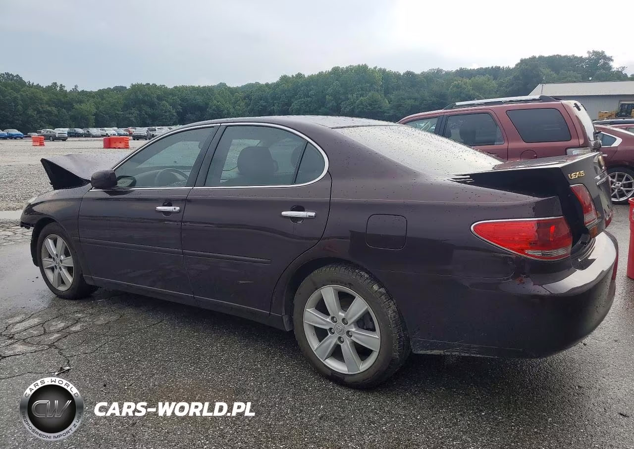 2005 Lexus Es 330 VIN:JTHBA30G055084172 - 2