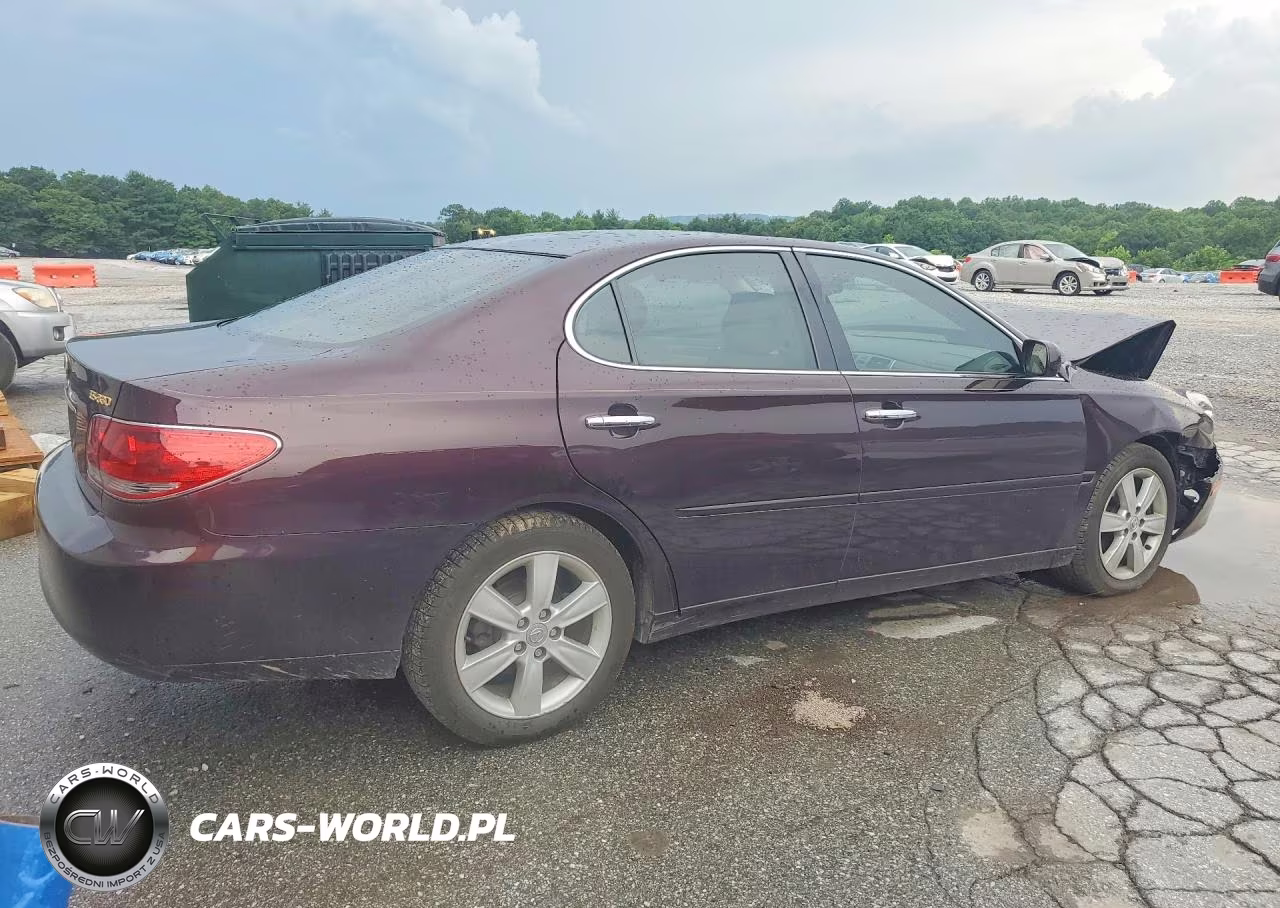 2005 Lexus Es 330 VIN:JTHBA30G055084172 - 3