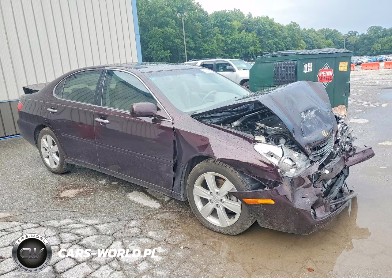 2005 Lexus Es 330 VIN:JTHBA30G055084172 - 4