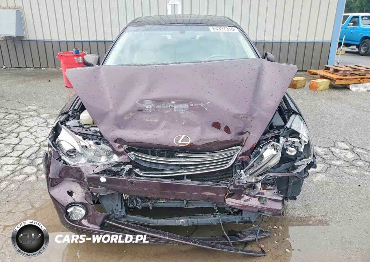 2005 Lexus Es 330 VIN:JTHBA30G055084172 - 5