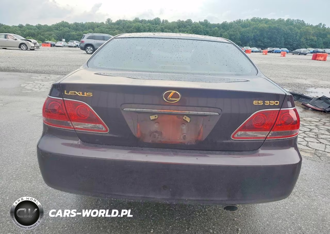 2005 Lexus Es 330 VIN:JTHBA30G055084172 - 6