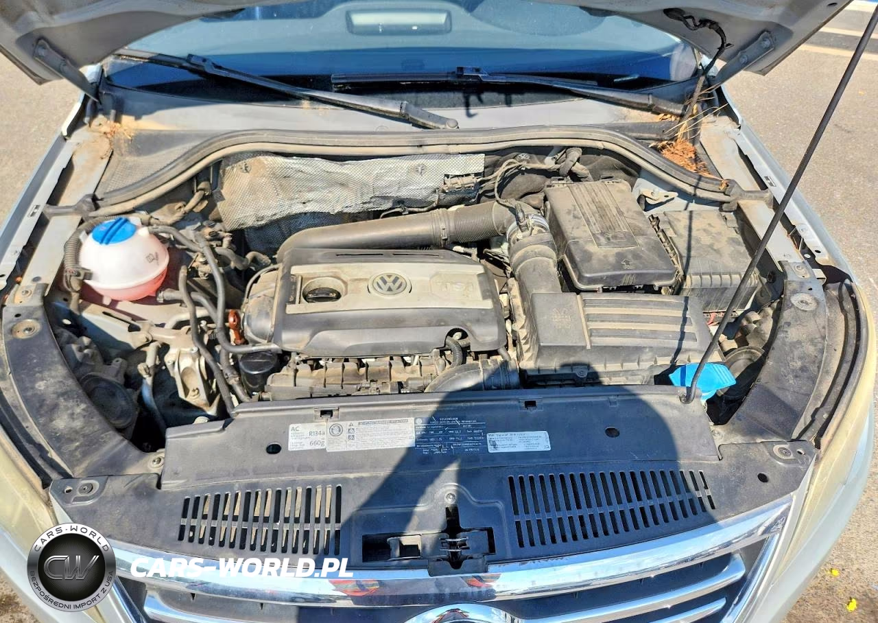 2011 Volkswagen Tiguan S VIN:WVGAV7AX2BW547129 - 12