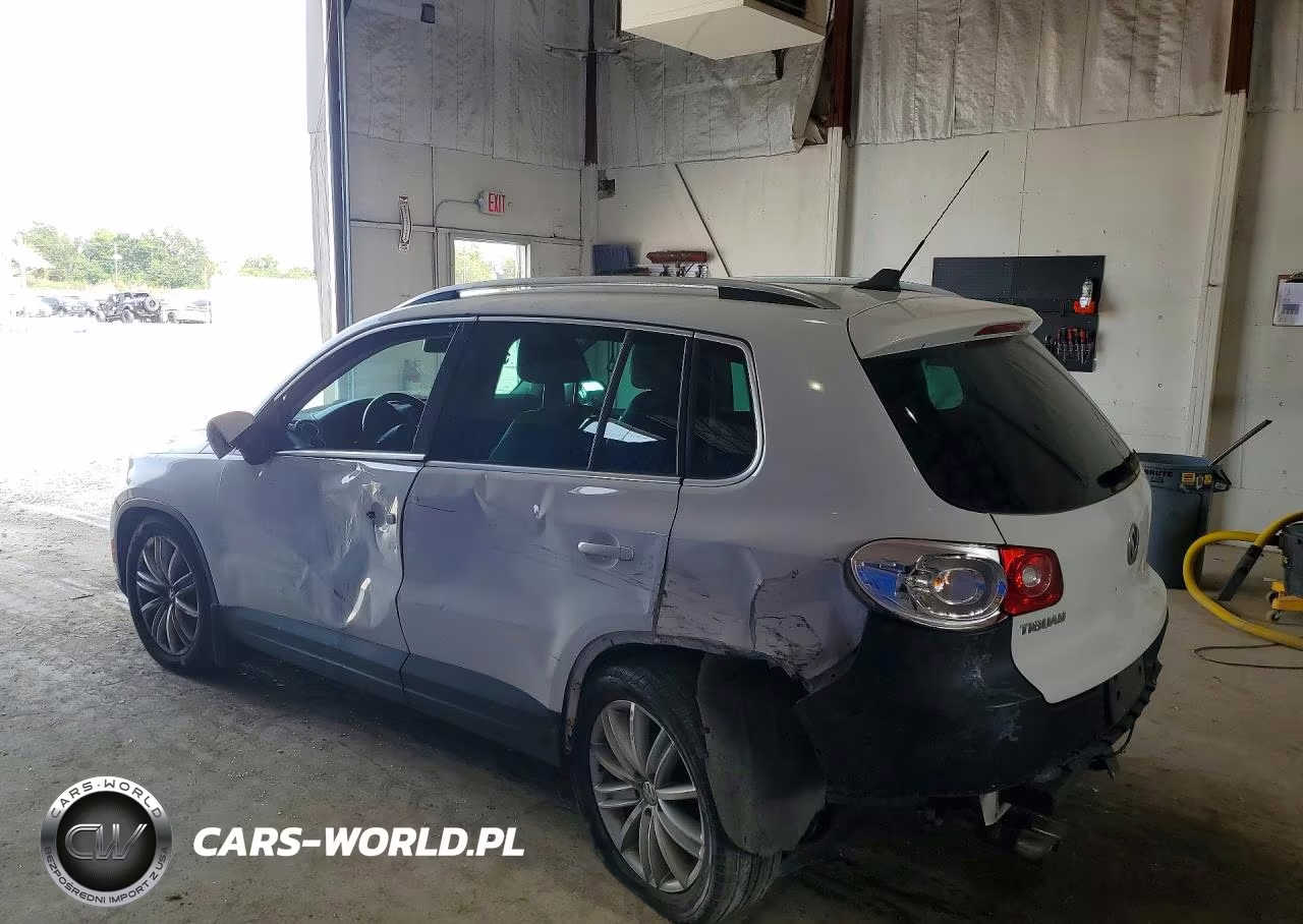 2011 Volkswagen Tiguan S VIN:WVGBV7AX4BW503895 - 2