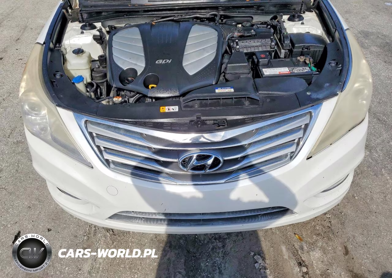 2014 Hyundai Azera Limited VIN:KMHFH4JG8EA406501 - 11