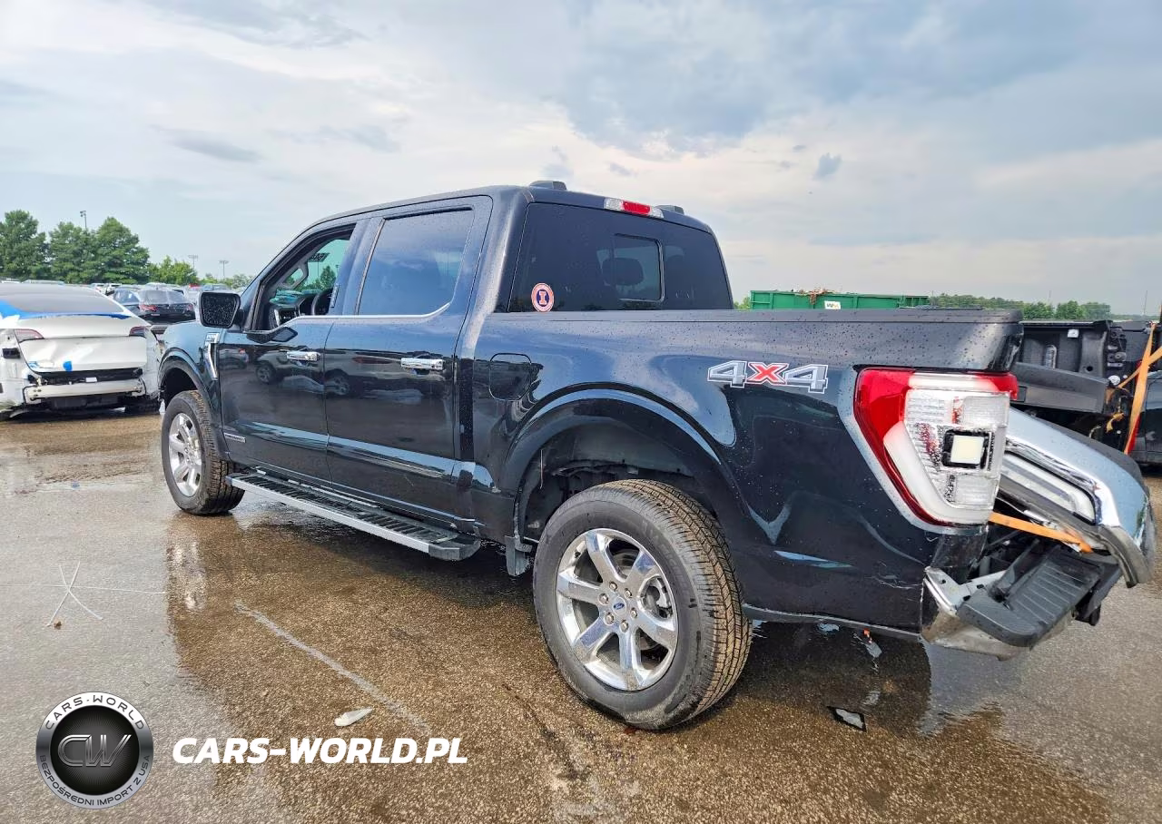2023 Ford F150 Supercrew VIN:1FTFW1ED7PFB36885 - 2