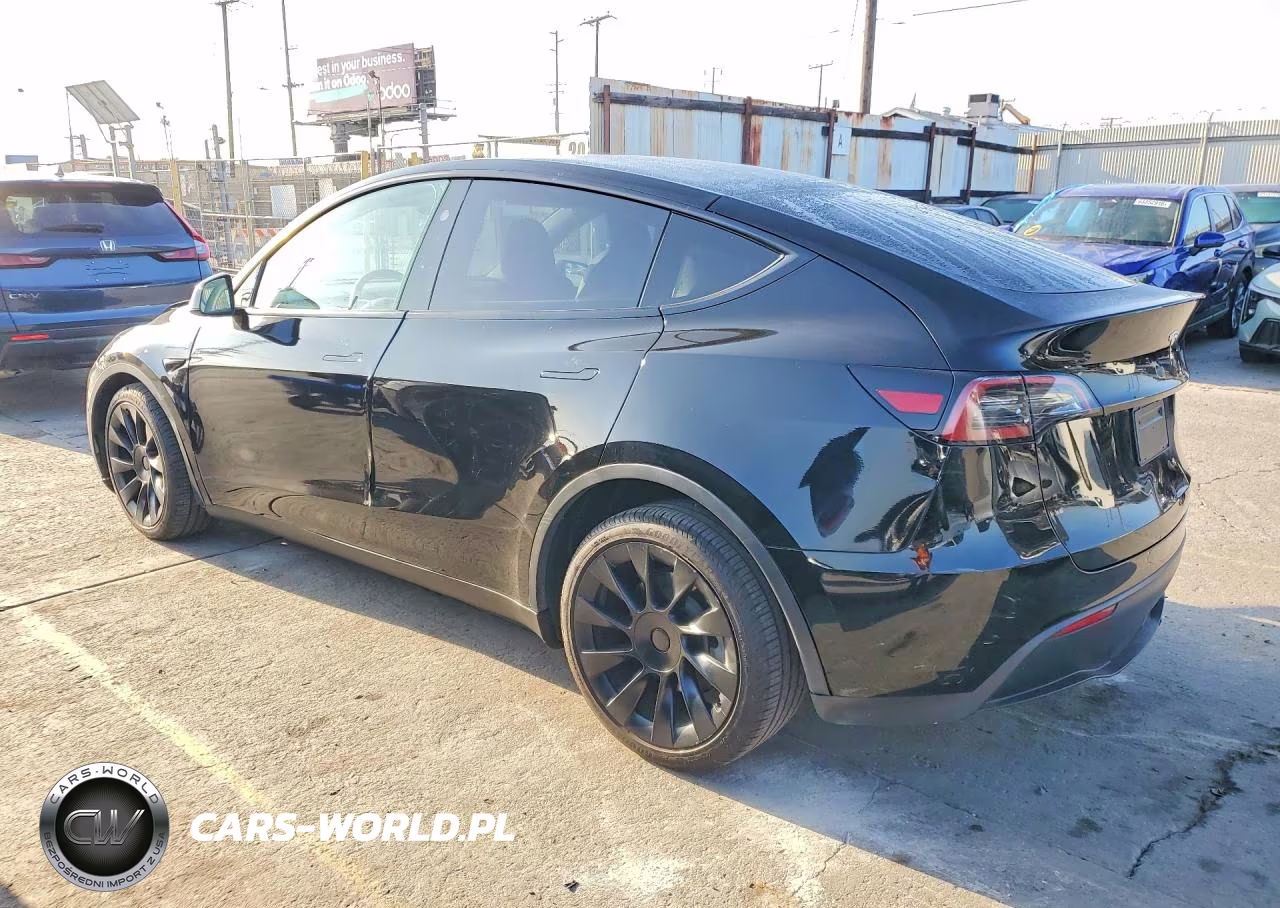 2024 Tesla Model Y VIN:7SAYGDED2RF020317 - 2