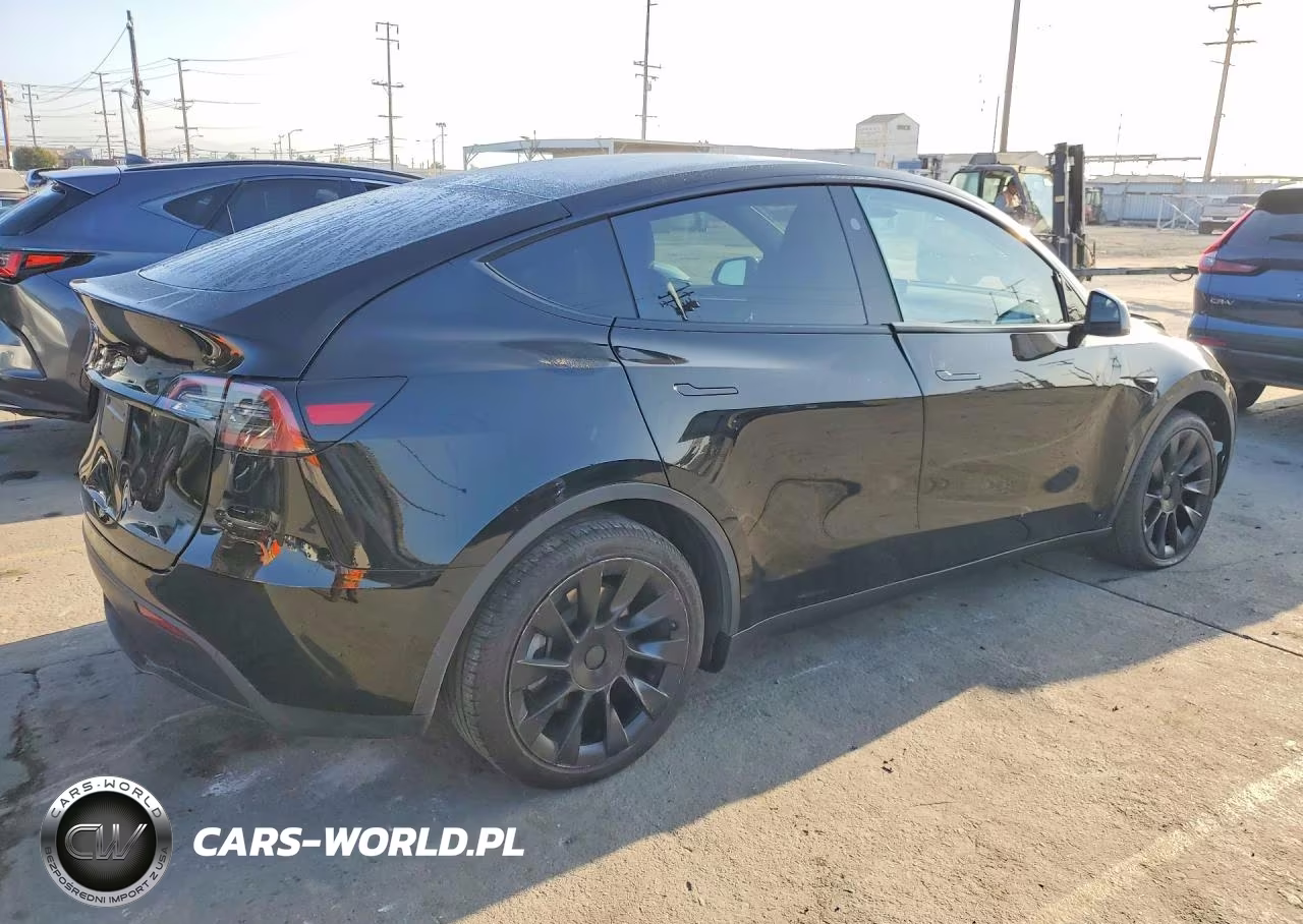2024 Tesla Model Y VIN:7SAYGDED2RF020317 - 3