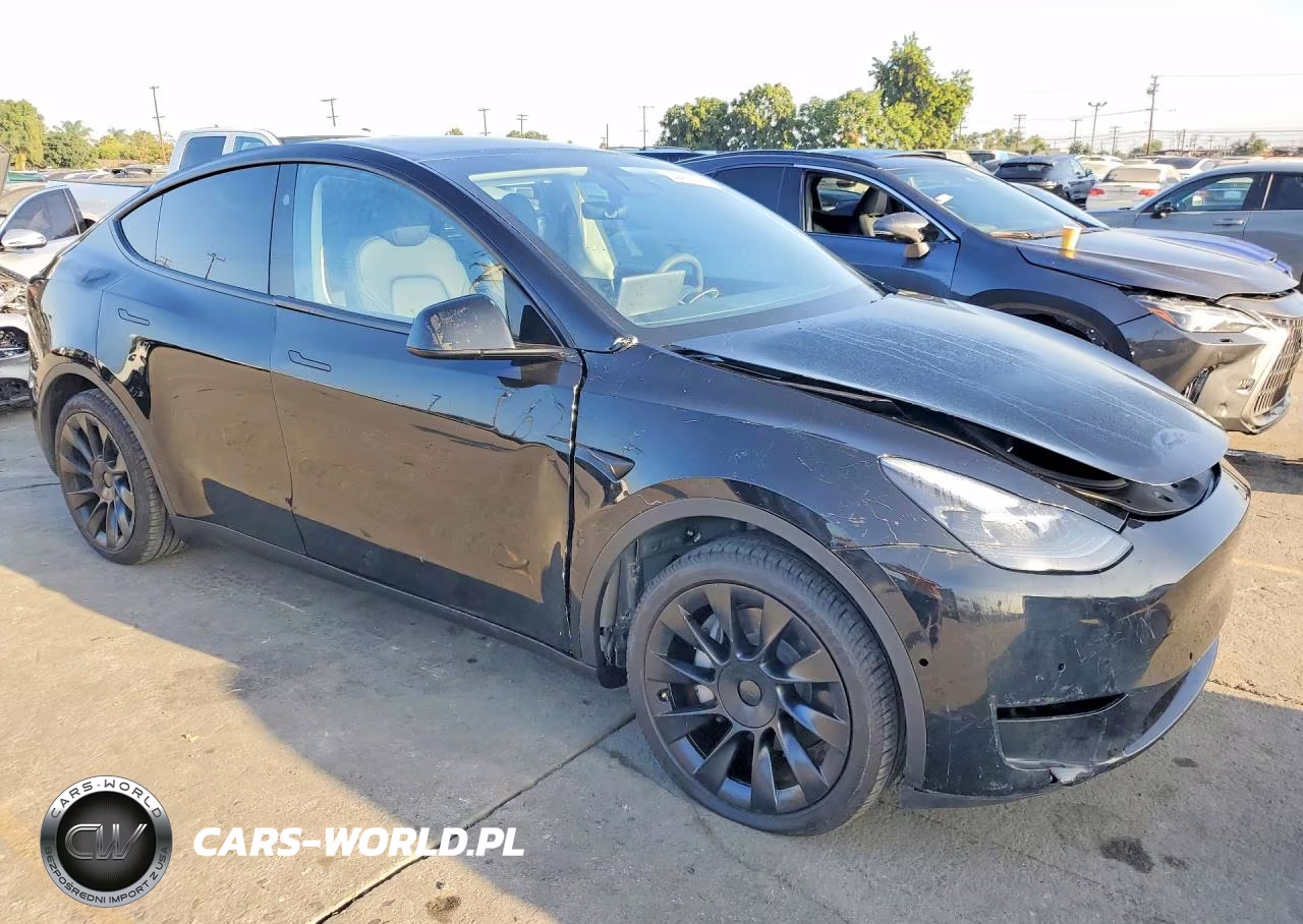 2024 Tesla Model Y VIN:7SAYGDED2RF020317 - 4