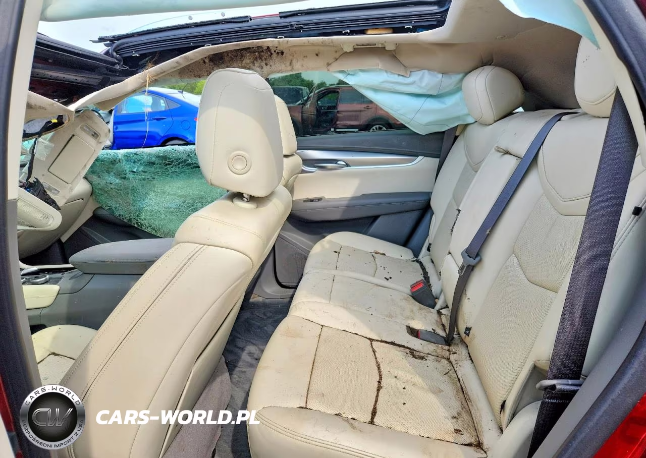 2024 Cadillac Xt5 Premium Luxury VIN:1GYKNDRS7RZ723353 - 11