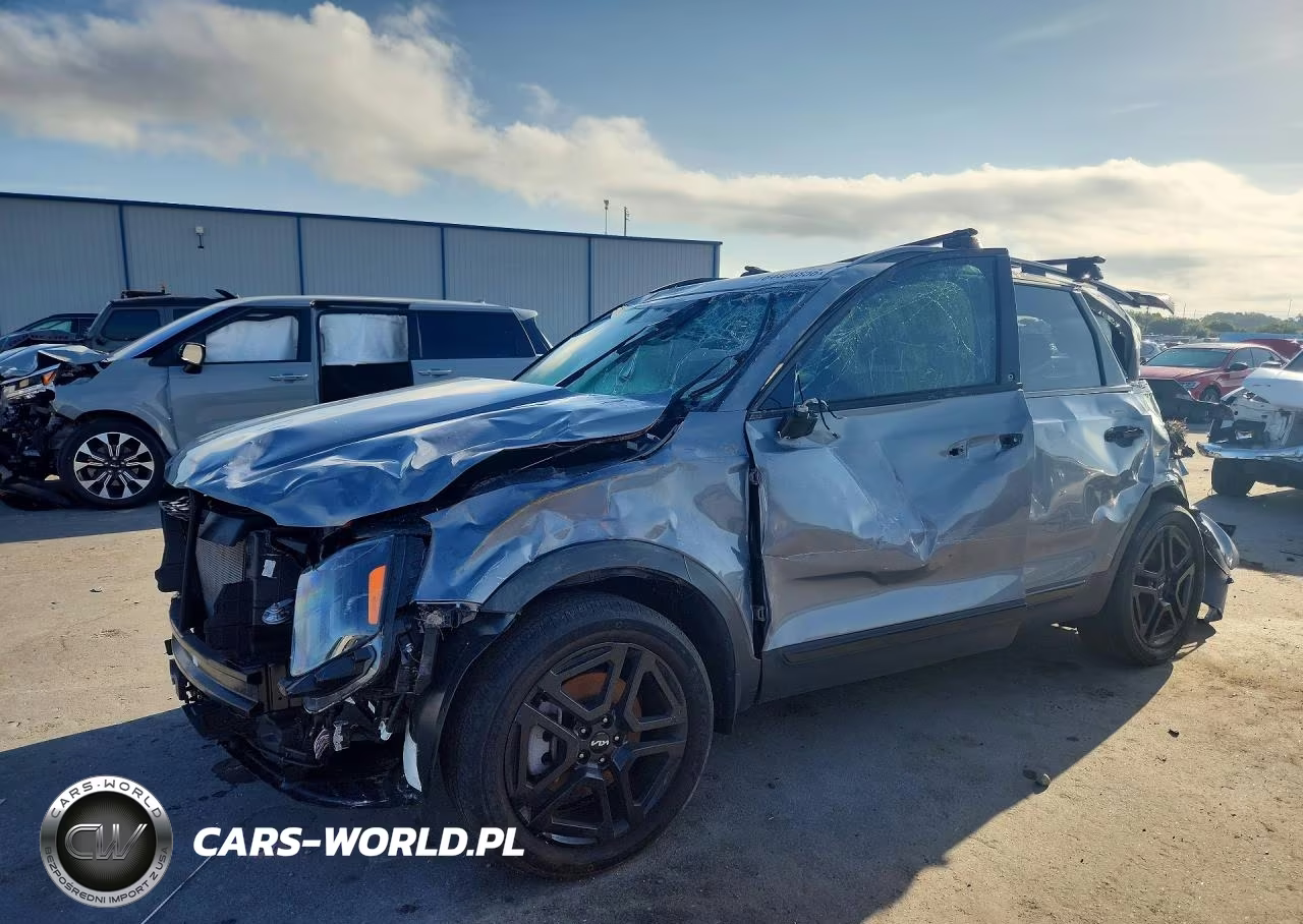 2024 Kia Telluride Sx X-Line VIN:5XYP5DGC8RG440935 - 1