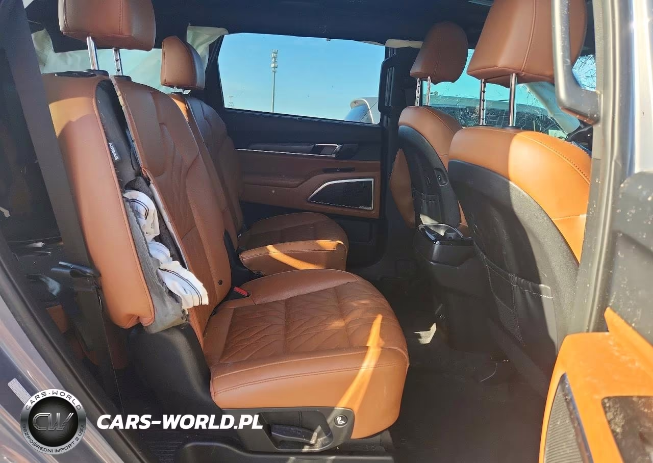 2024 Kia Telluride Sx X-Line VIN:5XYP5DGC8RG440935 - 11