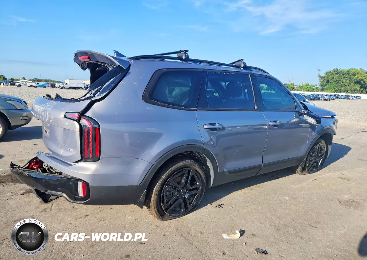 2024 Kia Telluride Sx X-Line VIN:5XYP5DGC8RG440935 - 3