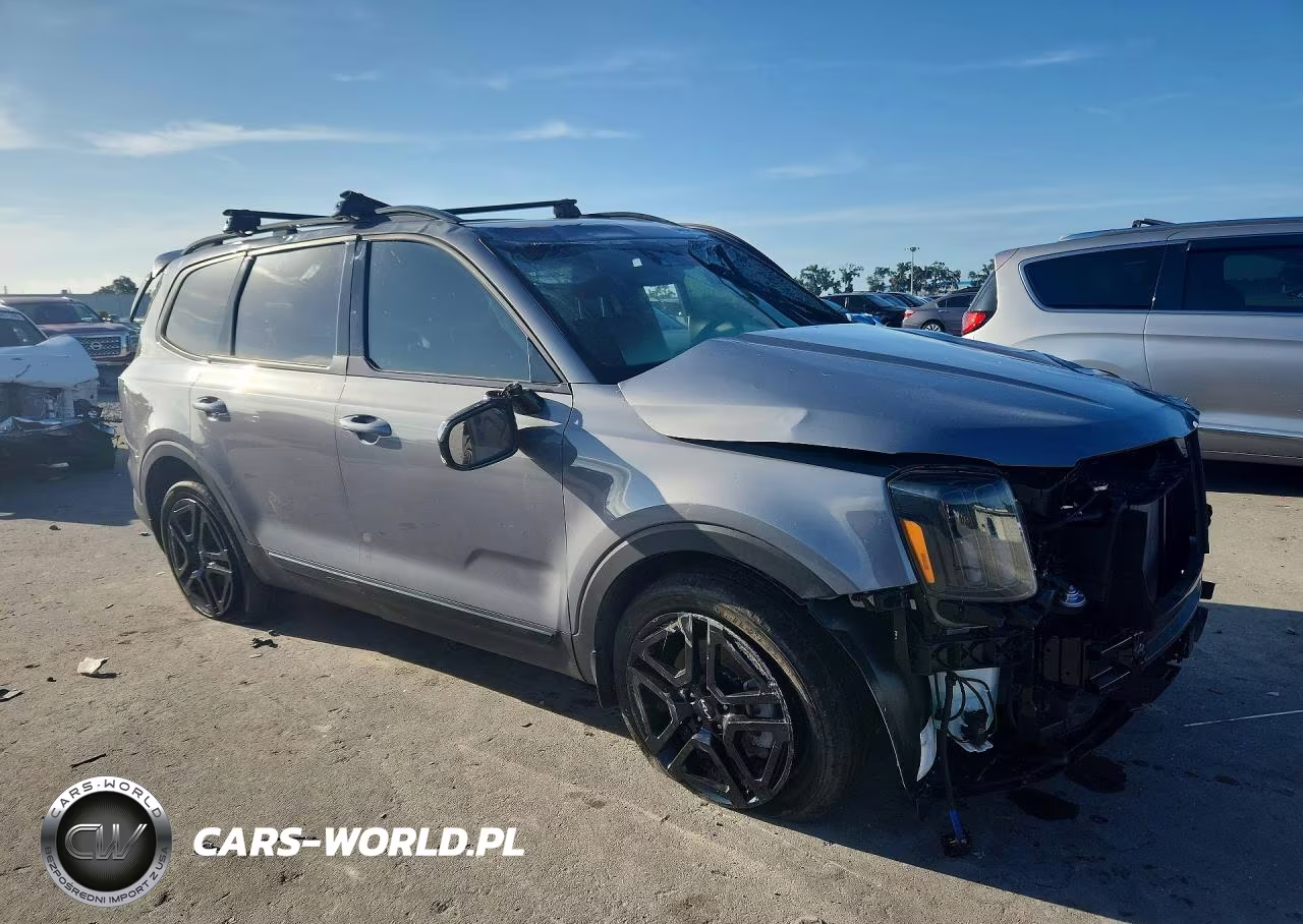 2024 Kia Telluride Sx X-Line VIN:5XYP5DGC8RG440935 - 4
