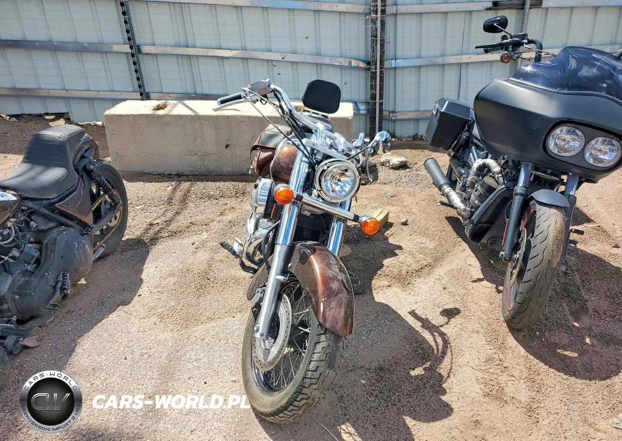 2019 Honda Vt750 C VIN:JH2RC5002KK500199 - 2