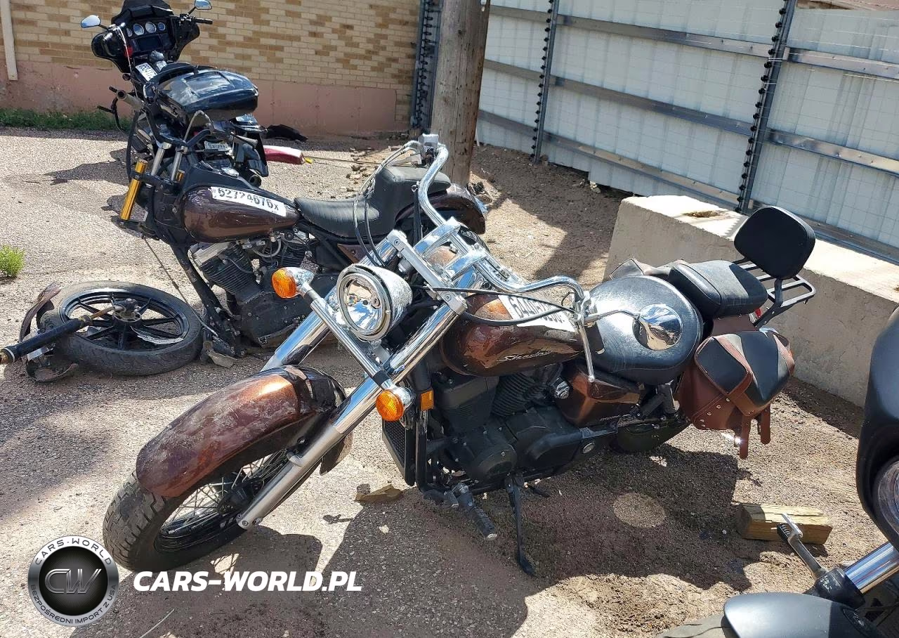 2019 Honda Vt750 C VIN:JH2RC5002KK500199 - 3