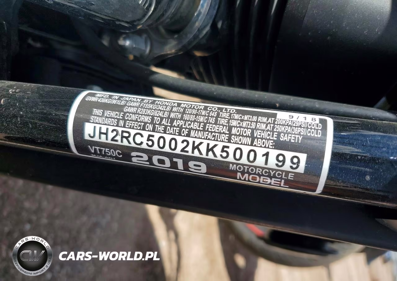 2019 Honda Vt750 C VIN:JH2RC5002KK500199 - 9