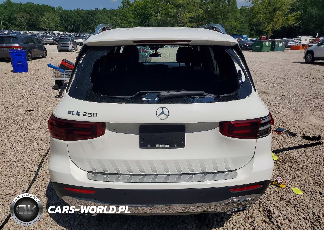 2024 Mercedes-Benz Glb 250 VIN:W1N4M4GB0RW374664 - 6